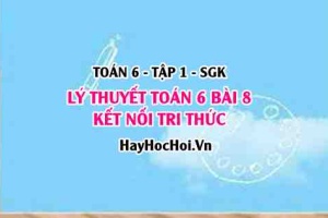 Lý Thuyết Toán 6 Bài 8: Quan Hệ Chia Hết & Tính Chất (Kết Nối Tri Thức)